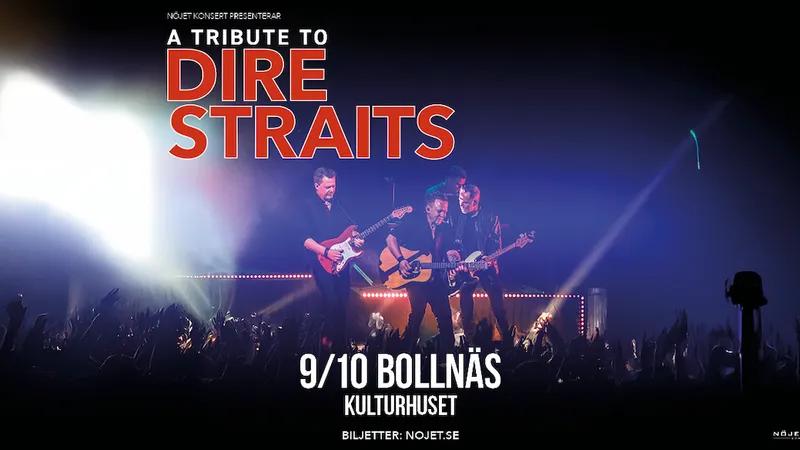 A Tribute to Dire Straits