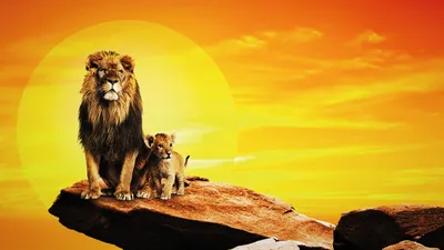 Musiken från Lejonkungen - livekonsert