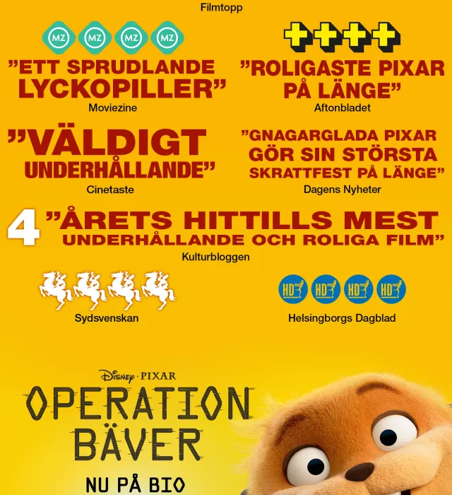Operation bäver