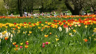 Guidad visning i Botaniska trädgården