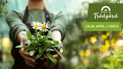 Nolia Trädgård 2026