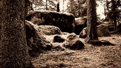 Guidning: Häxprocesserna i Trollkäringeskogen