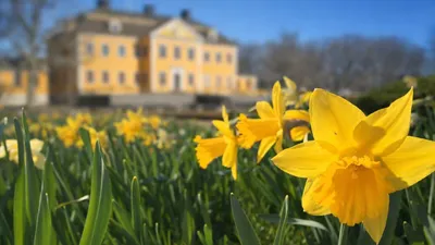 Öppen Herrgård - Fira påsk i Lövstabruk!