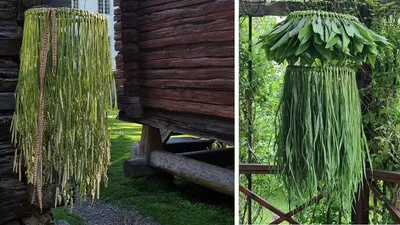 Workshop: Skapa din egen gräskrona