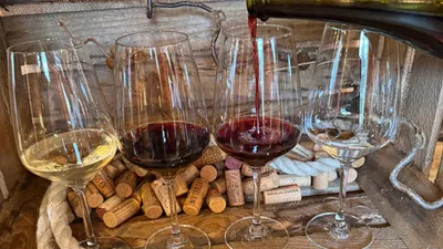 Vinprovning Sydafrika & god mat