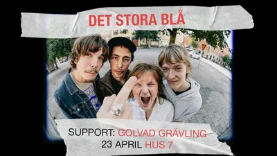 Det Stora Blå + Golvad Grävling | Hus 7