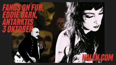 Fangs On Fur + Eddie Dark + Antarktis