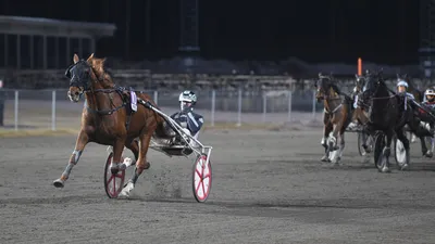 Kvällstrav & Tjejkväll Travrestaurangen