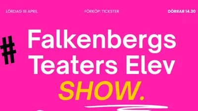 Elevredovisnings Show