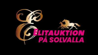 Elitauktionen