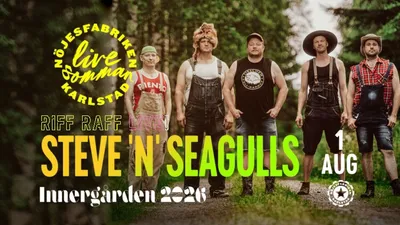 Steve'n'Seagulls - Live på Innergården