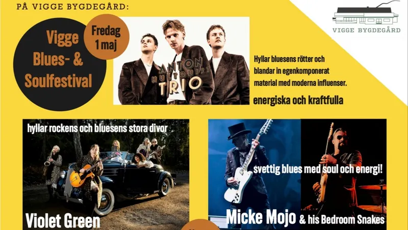 Vigge Blues & Soul Festival