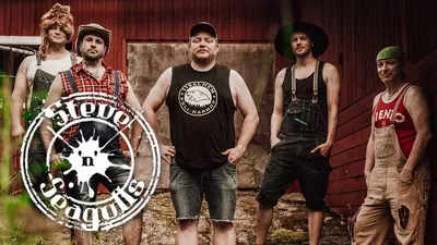 Steve 'n’ Seagulls