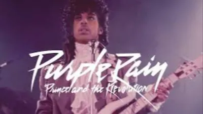 Purple Rain - Bio Kontrast
