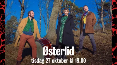 261027 Østerlide