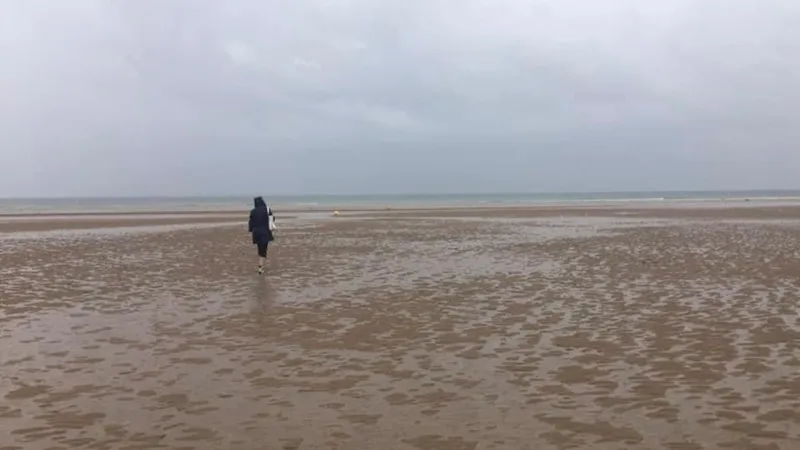 Bryt fixeringen kring personen som är skadlig för dig - webinar 5/4