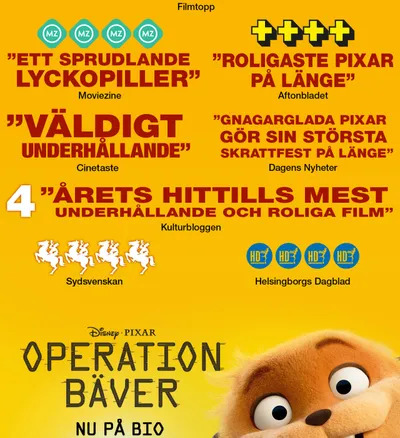 Operation bäver