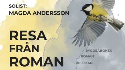 Resa från Roman till Riedel