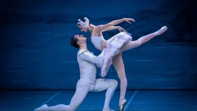 Svansjön med Liveorkester