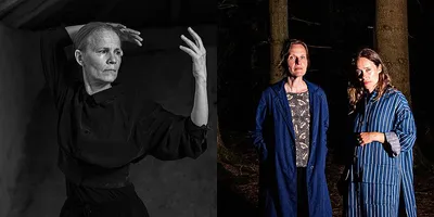 Dyningar - ett danspoetiskt berättande