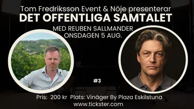 Det offentliga samtalet - Reuben Sallmander