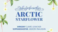 ARCTIC STARFLOWER