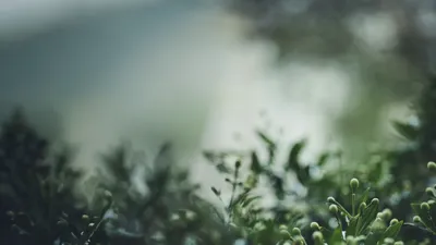 Vårkonsert med Orphei Drängar