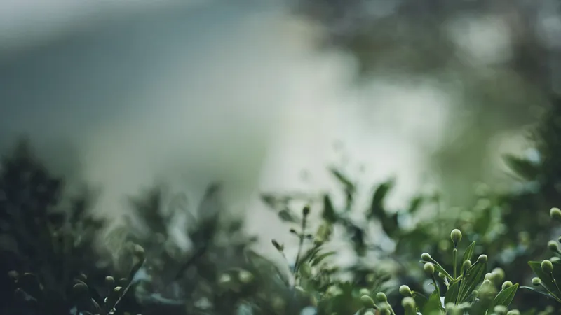 Vårkonsert med Orphei Drängar