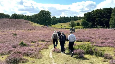 Vandring i Olle Adolphsons fotspår på Österlen