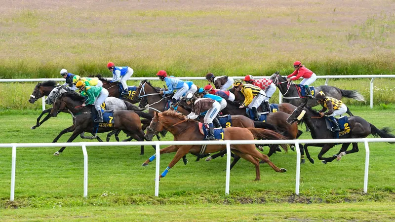 Galoppsöndag på Göteborg Galopp