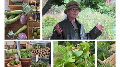 Föreläsning: Odlarglädje och självhushållning