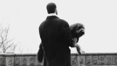 BARMHÄRTIGHETEN | ibodies