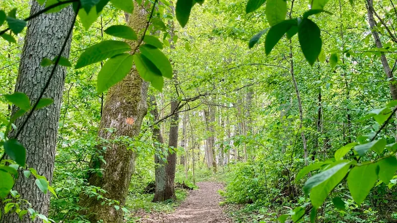 Bland slott, torp och runstenar