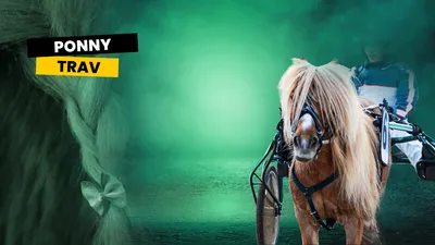 PonnyTrav
