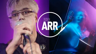 Svart Tulpan/Sofia Härdig