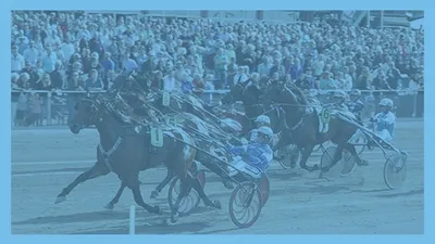 Torsdagstrav - Julbord