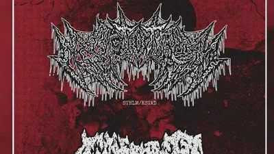 Smörgåsbord Of Sickness Vol. 8,5