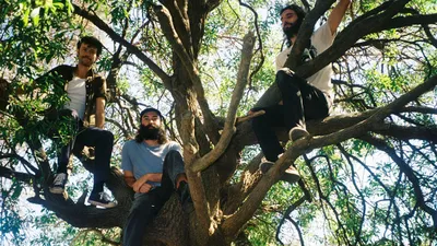 ORB + TRÄDEN | HUS 7