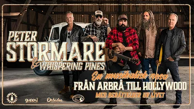 PETER STORMARE – Från Arbrå till Hollywood