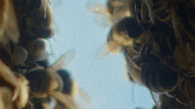 SMYGPREMIÄR: BIODLAREN MED BESÖK