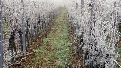 8/4 Vinlandet Sverige