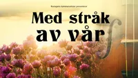 Med stråk av vår