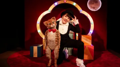 Kattkabaré (1,5-3 år)