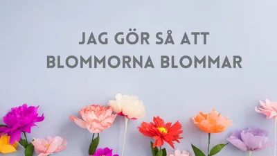 Sommarkonsert Brunnsbo Musikklasser