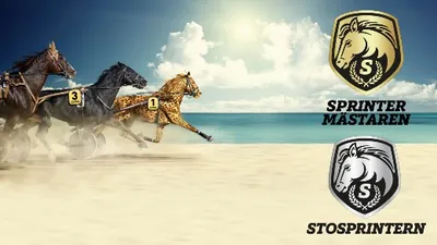 Uttagningar StoSprintern