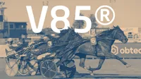 Sommartravet med V85®