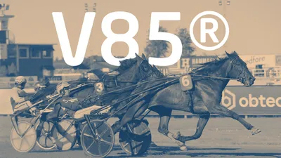 Sommartravet med V85®