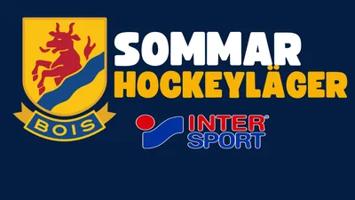 Sommarhockeycamp - Vecka 33 10-13 augusti - 2026