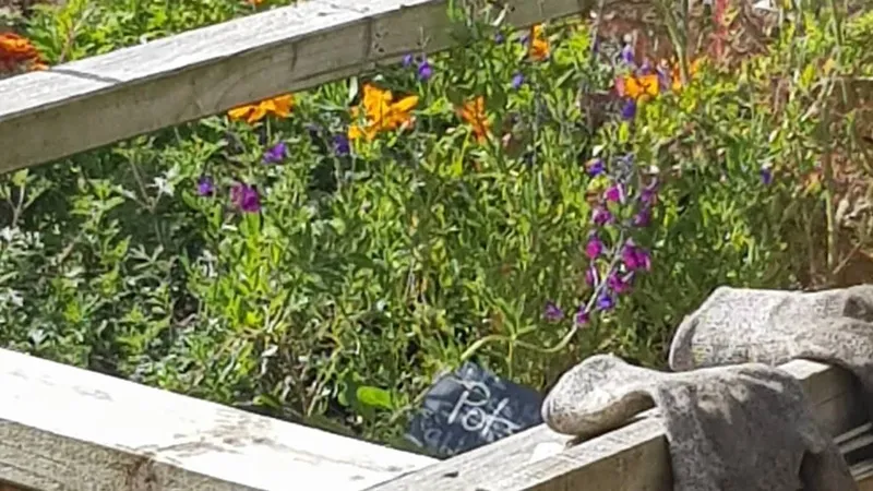 Workshop: Odling i pallkrage - 8 maj