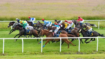 Lördagsgalopp på Göteborg Galopp